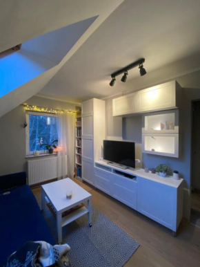 Moon Apartment